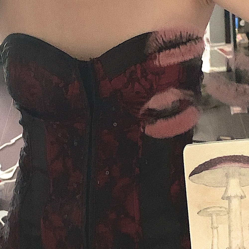 VINTAGE CHARLOTTE RUSSE CORSET